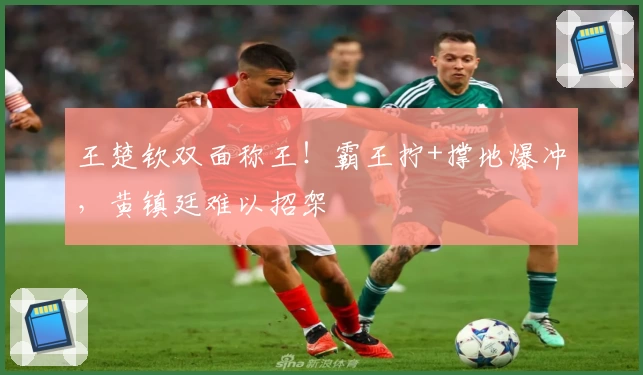 王楚钦双面称王！霸王拧+撑地爆冲，黄镇廷难以招架