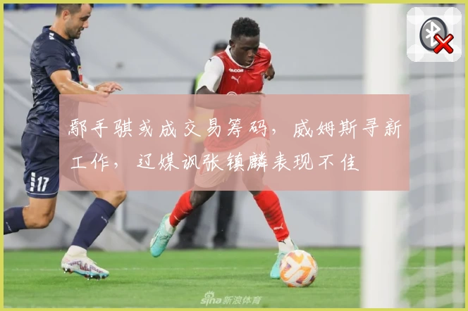 鄢手骐或成交易筹码，威姆斯寻新工作，辽媒讽张镇麟表现不佳