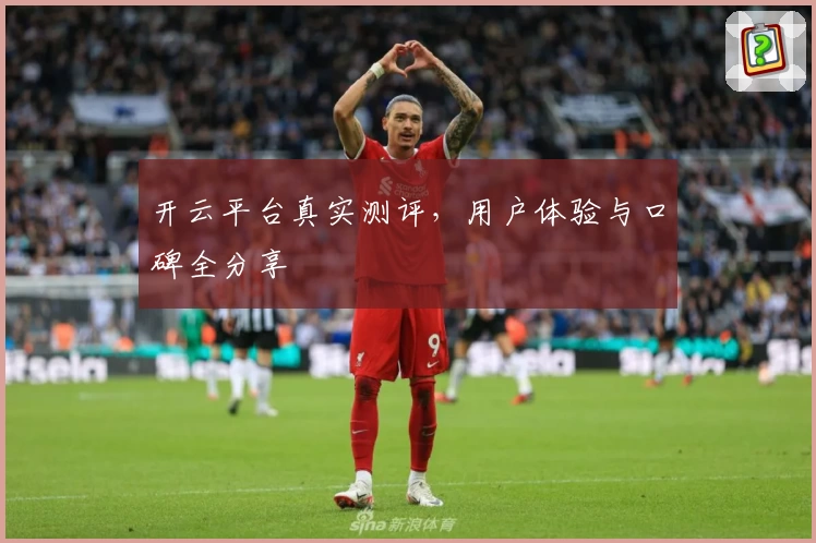 开云平台真实测评，用户体验与口碑全分享