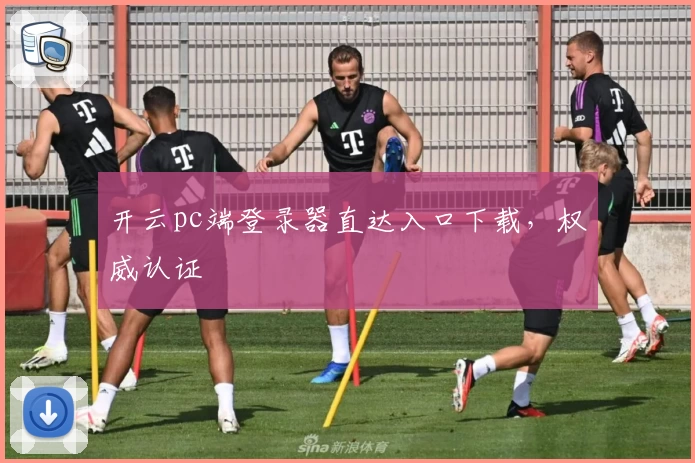 开云pc端登录器直达入口下载，权威认证